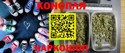 прущие грибы Краснодар