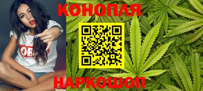 прущие грибы Краснодар