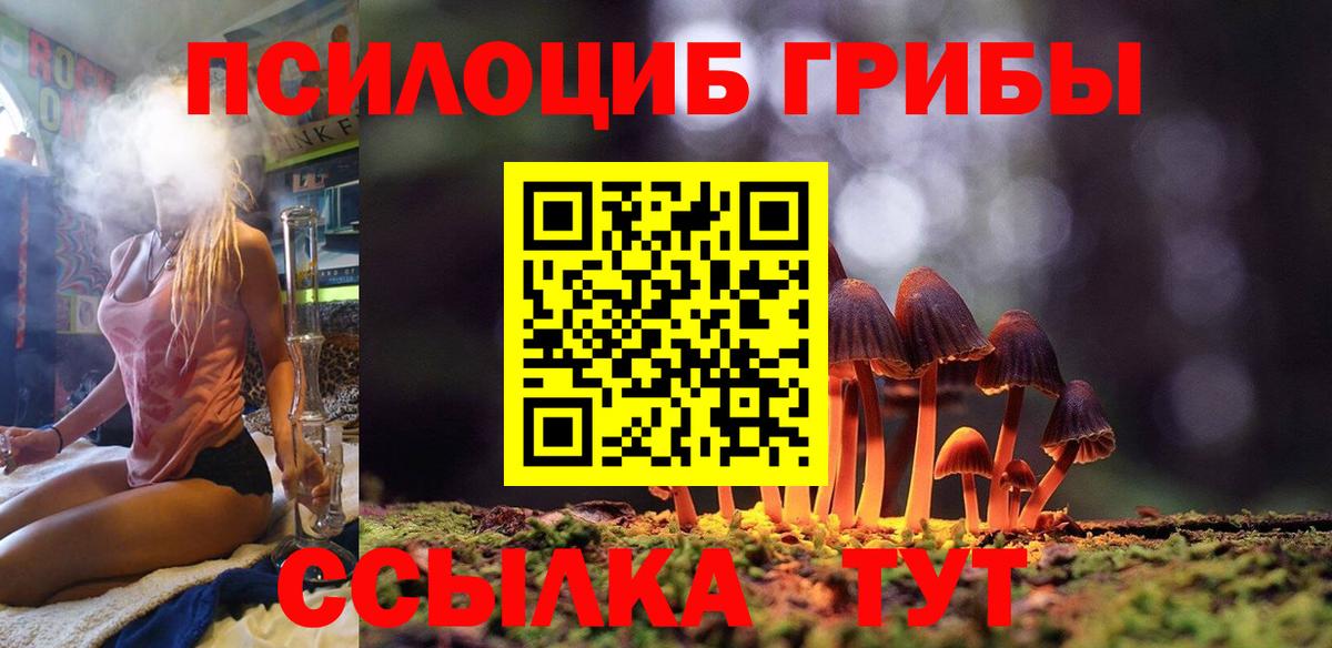 Щёлково  Псилоцибиновые грибы Psilocybine cubensis  закладки  Вход с VPN 